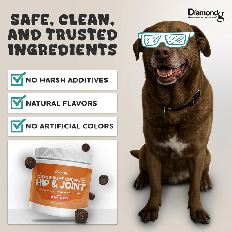 Diamondg Joint & Hip Supplement for Dogs for Large and Small Breed, 60ct – Dog Soft Chews with Glucosamine, Chondroitin, MSM, and Egg Shell Membrane to Support Mobility and Joint Health