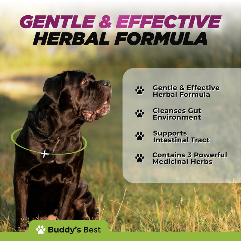 Natural Dewormer for Dogs | 100% Natural | Contains 3 Medicinal Herbs | Supports Intestinal & Gut Health | Gentle & Effective Formula - PawsPlanet Australia