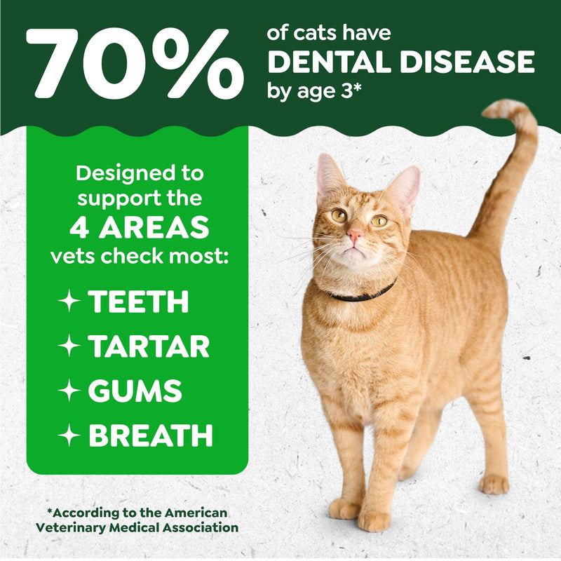 Greenies Cat Treats, Veterinarian-Recommended Adult Natural Dental Cat Treats, Tempting Tuna Flavor, 4.6 oz. Tub (Pack of 2) 4.6 Ounce (Pack of 2)