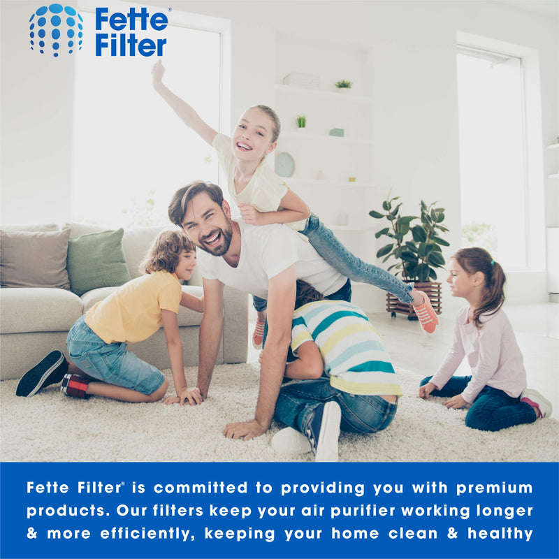 Fette Filter - 4 Pack Replacement Filter U Compatible with Honeywell Clean U Filter HRF201B and Febreze FRF102B For HHT270, HHT290 & Febreze FHT170, FHT180, FHT190. 5" x 10" x 1.4"