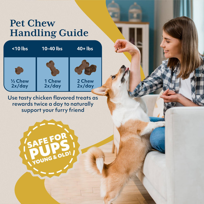 Ayush Pet Ashwagandha Calming Support Chews, Ayurvedic Calming Supplement for Dogs and Cats, Ashwagandha Herbal Supplement, 30 Chews - PawsPlanet Australia