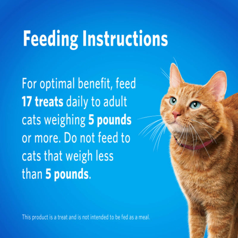 DentaLife Purina Made in USA Facilities Cat Dental Treats, Savory Salmon Flavor - 19 oz. Canister 1.19 Pound (Pack of 1) - PawsPlanet Australia