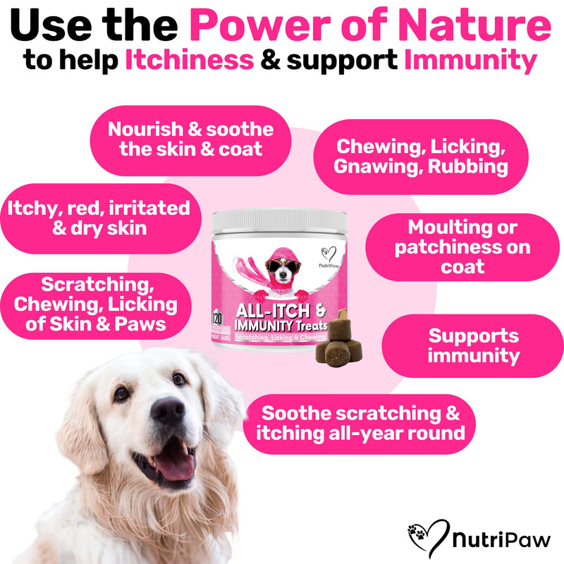NutriPaw All-Itch Immunity Treats For Dogs - Soothe Itchy Paws, Eyes, Ears, Skin - Stop Itching, Licking, Scratching - Perfect for Small, Medium & Large Dogs - Supports Seasonal Itching - PawsPlanet Australia
