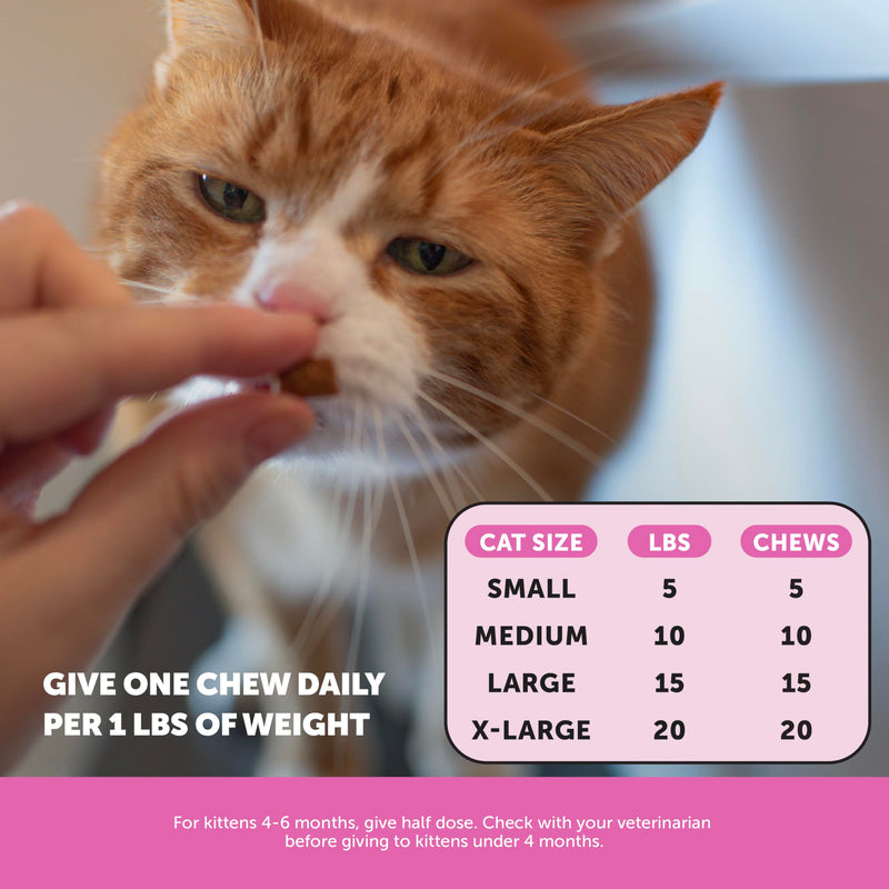 Cat Multivitamin & Skin Health Virtual Bundle – Multivitamin Chews 90 Day + Skin & Coat Health Chews 30 Day Supply