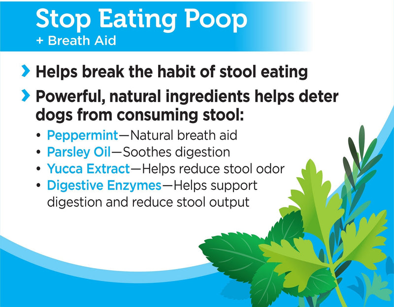 Solid Gold Stop Eating Poop for Dogs with Coprophagia; Natural, Holistic Grain-Free Supplement Chews and Powder with Peppermint & Parsley Oil 60Ct. - PawsPlanet Australia