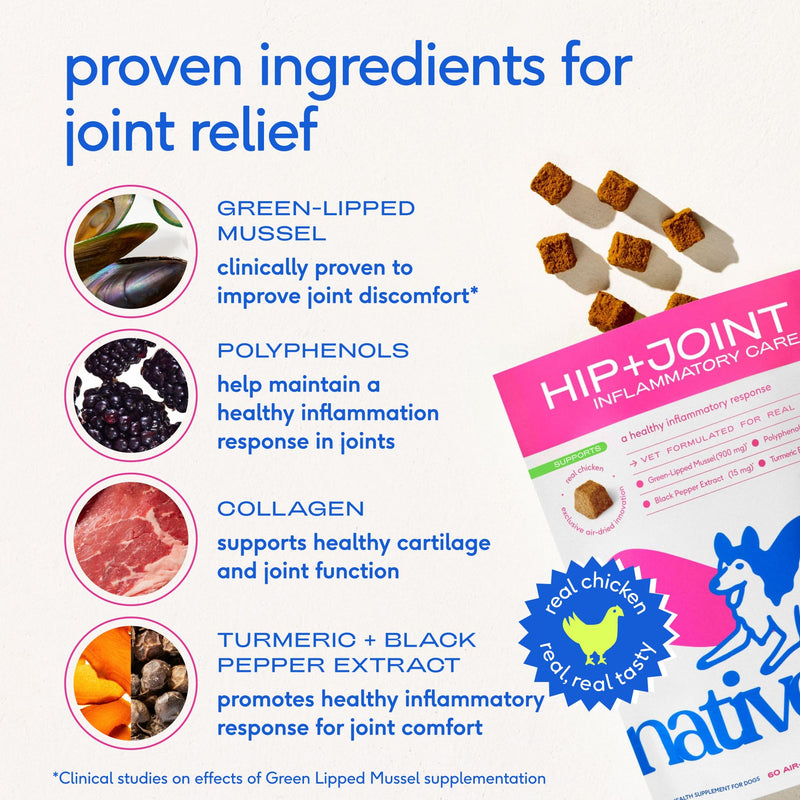 Native Pet Complete Joint Care & Pain Relief: Advanced Care Hip & Joint Supplement for Dogs - Supports, Cartilage, Muscles & Anti-Inflammatory - Pain Relief for Dogs with Collagen - 30 Count