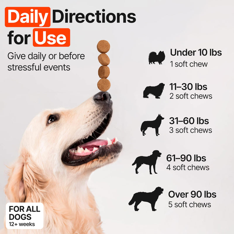 Dog Allergy Chews – Dog Allergy Relief, Itch Relief for Dogs – Anti Itch, Allergies & Immune Chews for Dogs with Omega 3 Fish Oil, Colostrum & Probiotics – 170 Count, Made in USA 170 Chews