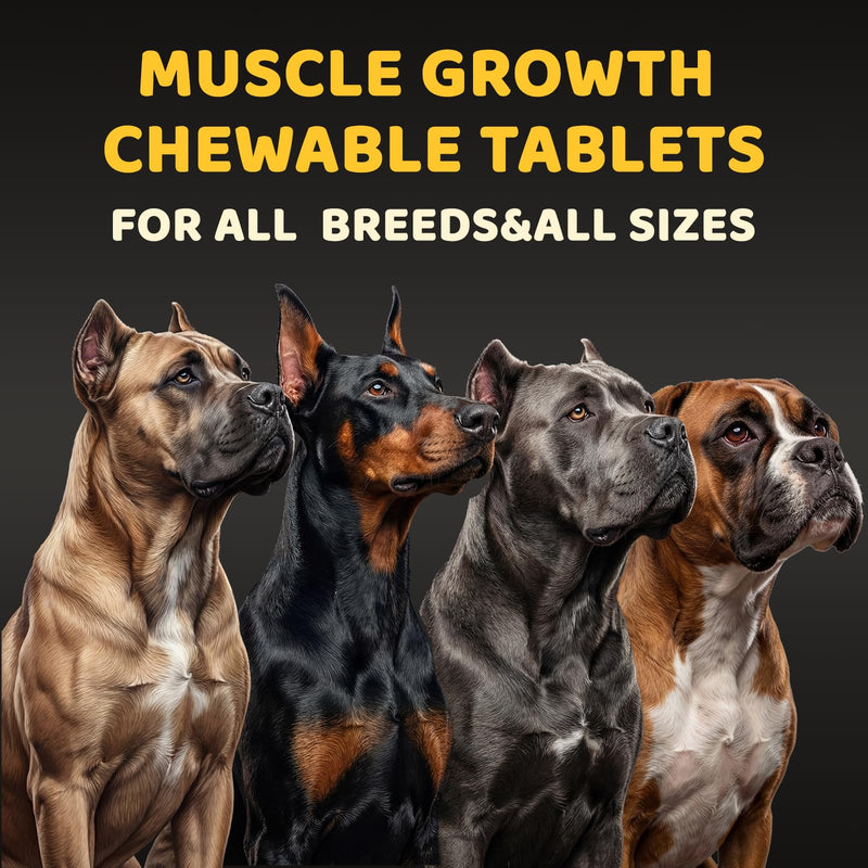 4-in-1 Muscle Gain Chews for Dogs: High Protein Supplement with BCAAs, Glucosamine & Salmon Oil – Premium Muscle Builder for All Breeds, Puppies to Senior – Salmon Flavor Soft Chews, 100 Tabs Black