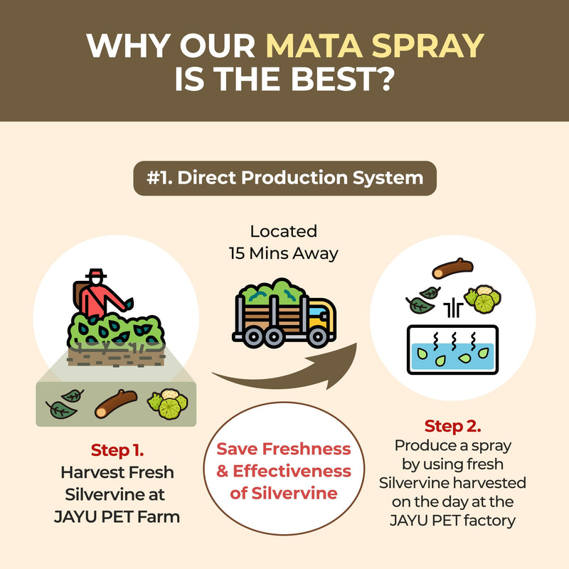 JAYU PET Active MATA Spray – 100% Natural Silvervine Spray for Cats, Liquid Catnip Alternative, Calming Mist for Indoor Kittens, Boosts Play & Engagement, Reduces Stress (1 fl oz) 1fl oz