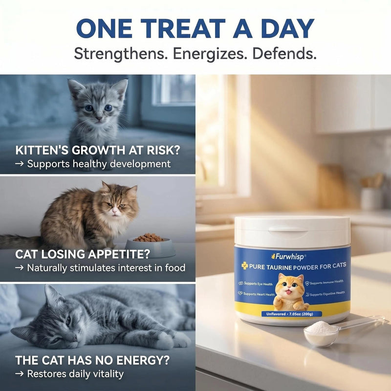 Taurine for Cats – No Additives, Essential Amino Acid for Heart & Vision, Easy Mix in Wet/Dry Food,Taurine Powder for All Ages Including Kittens-200g bule