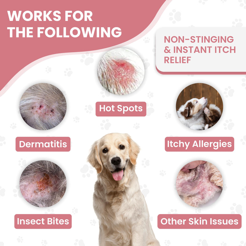 We Love Doodles USDA Organic Dog Hot Spot Spray, Itch Relief for Dogs Licking Paws, Made in USA, Anti-Itch Allergies, Dermatitis & Skin Irritation Treatment, Veterinarian Approved, 118mL - PawsPlanet Australia