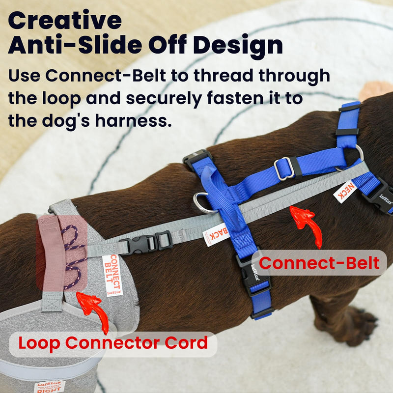 Dog Leg Sleeve for Stop Licking & Post-Surgery Recovery | Protects Injured Rear Legs from Excessive Licking & Scratching | Cone Alternative with Breathable Fabric | Easy to Use (Grey, X-Small) Grey
