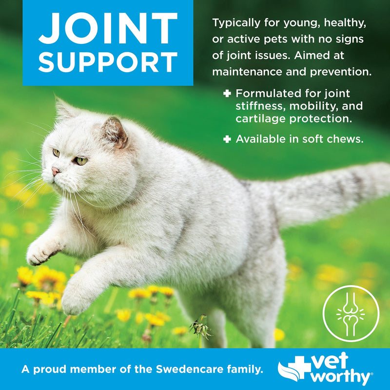 Vet Worthy Hip & Joint Support Feline Soft Chews - Hip & Joint Supplement for Cats - Rich in Omega 3, MSM & Glucosamine for Cats - Formulated for Mobility, Flexibility, & Cartilage Support - 60 Count