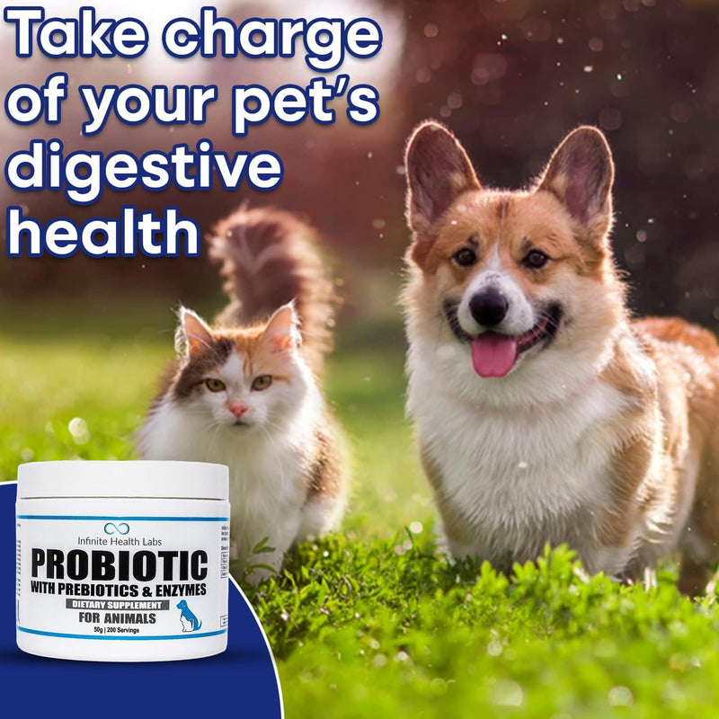 Probiotics for Dogs and Cats - Vet Formulated Made in USA Pet Prebiotic & Enzyme Powder for Digestive, Gut & Immune Health - 200 Servings (50 g) 50 g
