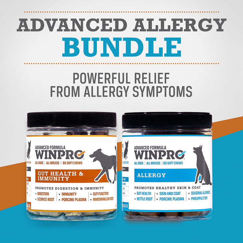 WINPRO All-Natural Allergy Relief and Gut Health Bundle, 120 Chews, Plasma Powered Grain Free Soft Chews Providing Relief from Itchy, Irritated Skin, Digestive Health and Immunity Allergy- Gut Bundle - PawsPlanet Australia