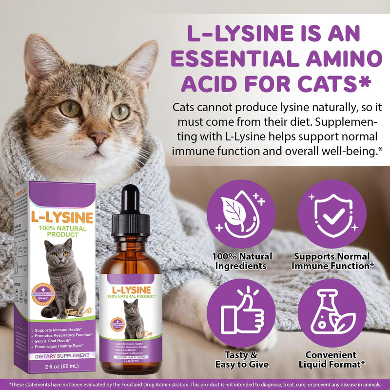Cat L-Lysine Supplement for Immune & Respiratory Support 60ml, Support for Sneezing, Runny Nose & Eye Function, L-lysine Drops Roast Chicken Flavor. Pack of 1
