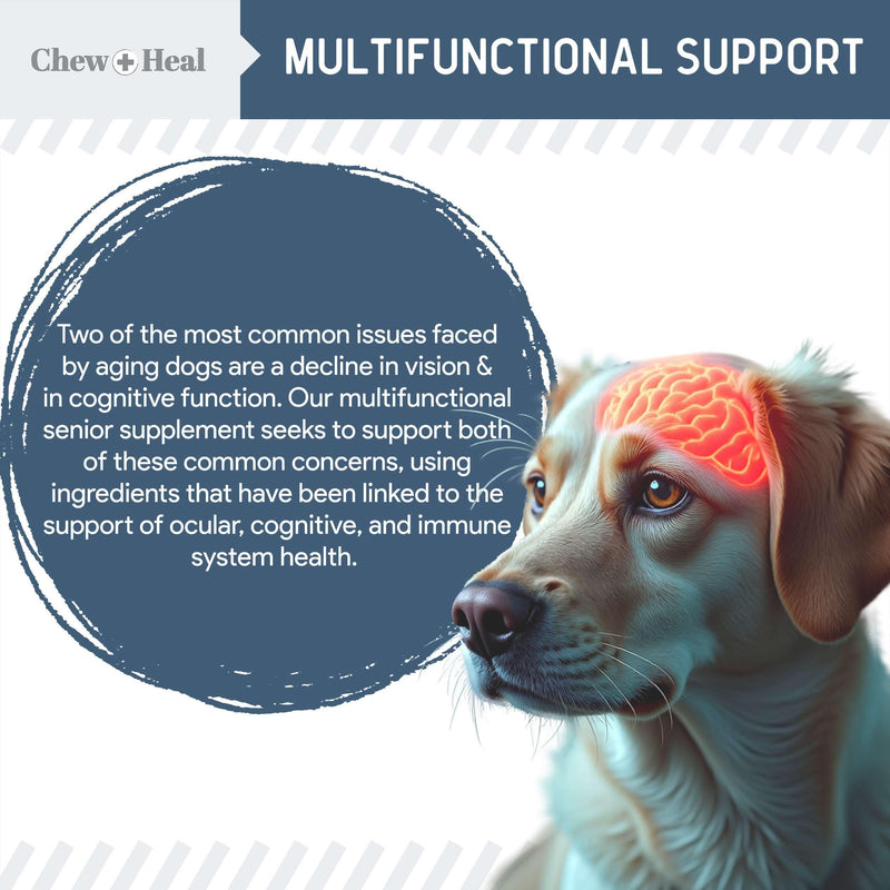 Chew + Heal Labs Senior Dog Vision and Cognition Chews - 60 Soft Chews for Dog Eye Care and Memory - 7-in-1 Multivitamin with Omega Fatty Acids, Vitamins, and Botanicals - Made in the USA 60 Count