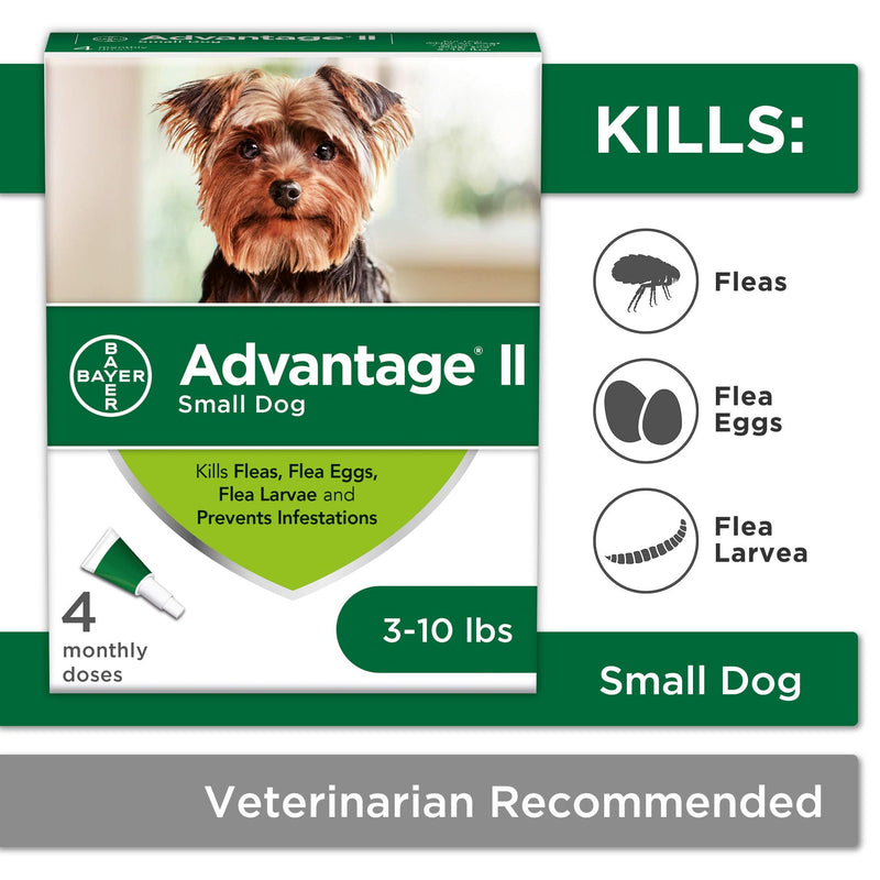 Advantage II 4-Dose Flea Treatment for Small Dogs, Flea Treatment for Small Dogs 3-10 Pounds - PawsPlanet Australia