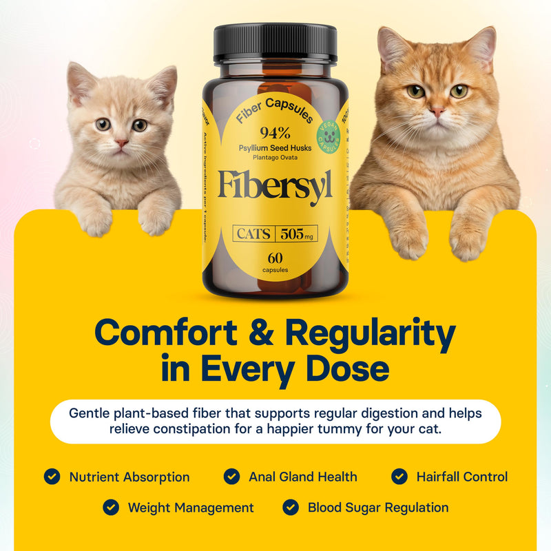 FiberSyl Prebiotics for Cats Digestive Health - Cat Fiber Supplements for Constipation Relief & Support - Psyllium Husk Seed to Support Digestion Problems - Cat Stool Hardener - 60 Capsules
