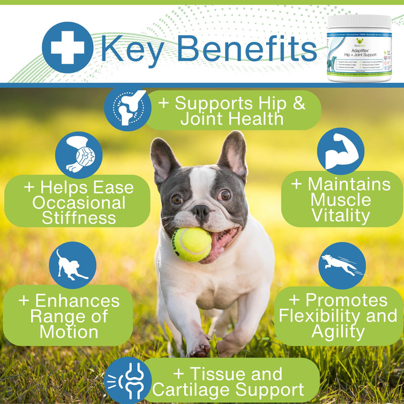 Adaptiflex Natural Joint Supplement for Dogs - Chondroitin, MSM, & Glucosamine for Dogs Hip and Joint Supplement - Aids in Joint Pain Relief - Hip and Joint Soft Chew Supplement for Dogs-Peanut Butter Peanut Butter 100 Count - PawsPlanet Australia