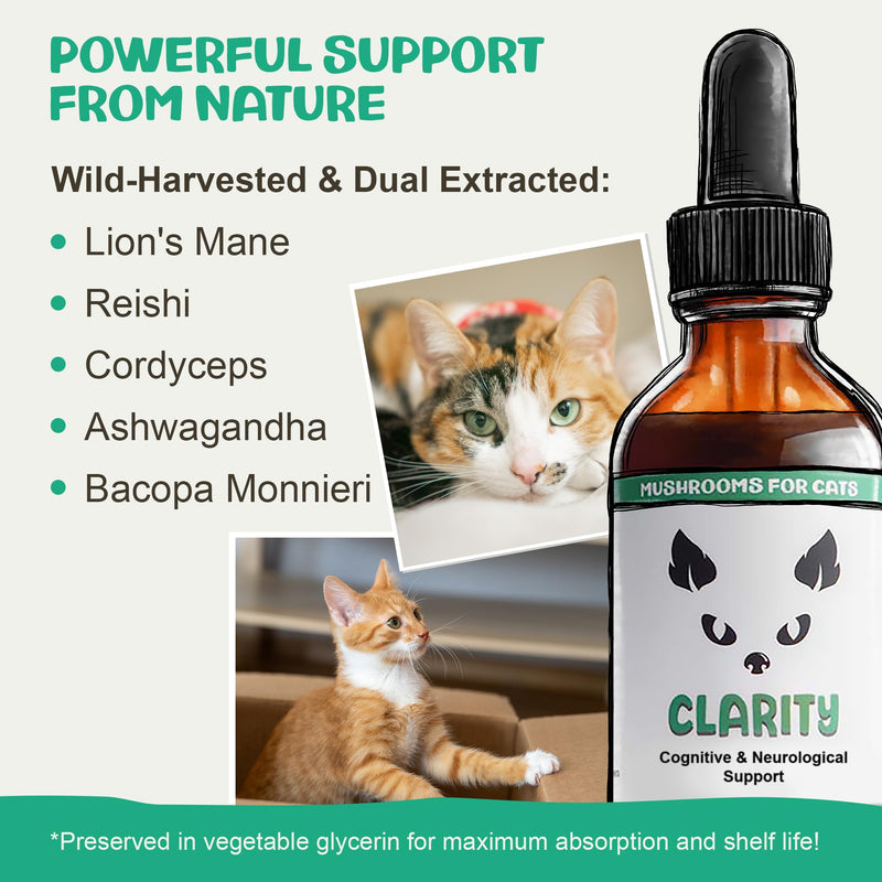MycoCat Clarity - Cat Calming & Cognitive Support Supplement with Functional Mushrooms & Adaptogens - Brain Health, & Senior Feline Wellness - for Memory & Focus - 2 oz