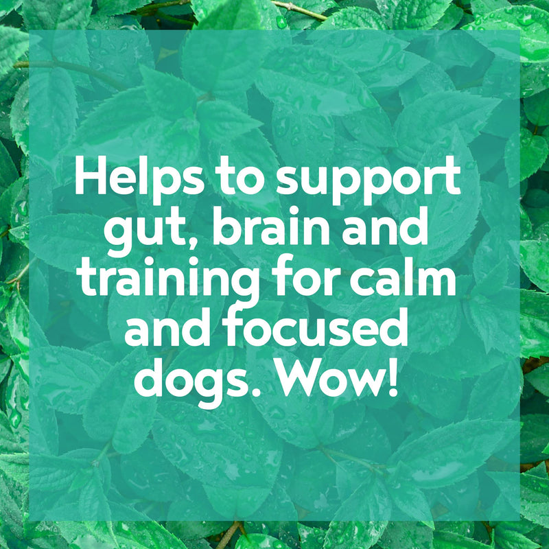 A-OK9 Calm-K9 | Calming Supplement for Dogs with Anxiety, Stress or Barking Troubles | Natural Ingredients. All Ages & Breeds Superfoods & Dog Supplements 1 pouch - PawsPlanet Australia