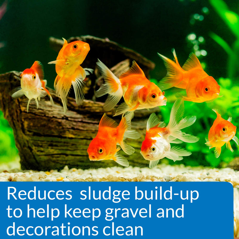 API Goldfish Protect Aquarium Water Conditioner 4-Ounce Bottle (Pack of 2) Water Conditioner (Pack of 2)