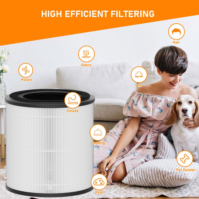 3389 HEPA and Carbon Filter Replacement Compatible with Bissell MYair+ and MYair HUB Air Cleaner Purifiers 2905A 3179A, Part Number 3389 2 Pack