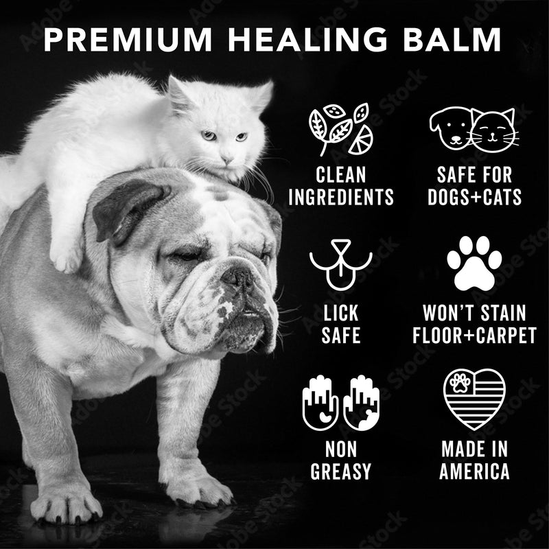 Pride and Groom The Balm – Creamy, Non-Greasy Balm for Dogs & Cats Made from Clean Ingredients, Shea Butter, Essential Oils & Vitamins to Moisturize & Heal Paws, Noses, Dry Patches, & More – 2.5 oz - PawsPlanet Australia