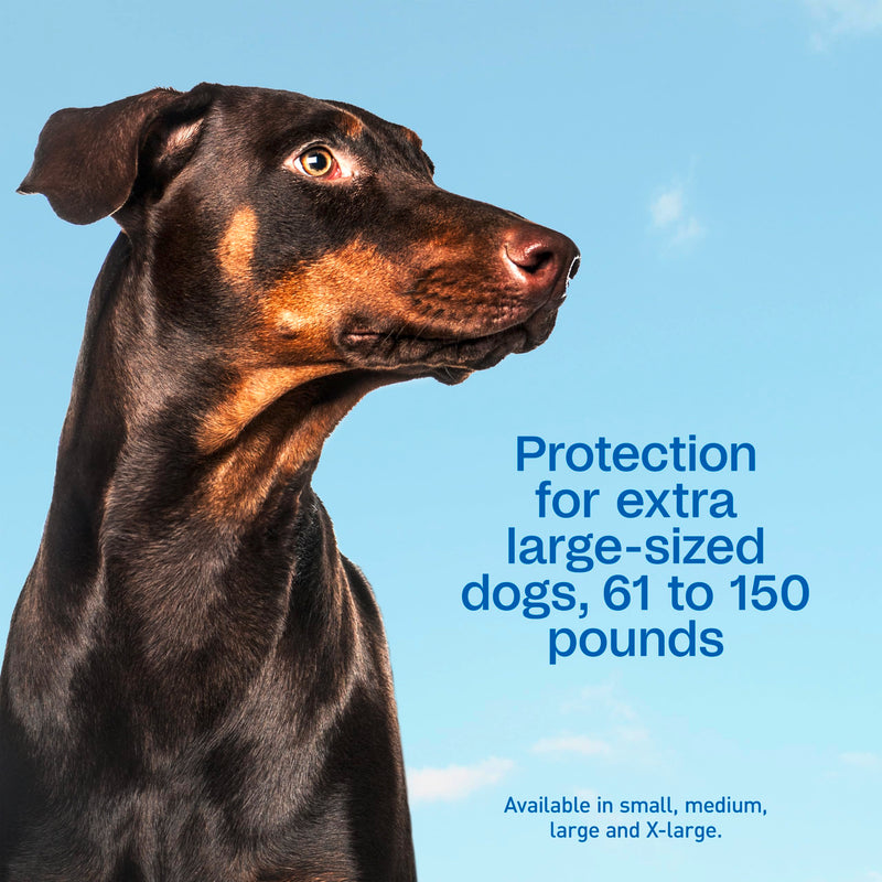 ADAMS Plus Flea & Tick Prevention Spot On for Dogs, Extra Large Dogs, Kills Fleas & Ticks (Brown Dog/Deer Ticks), Kills and Repels Mosquitoes, Prevents Flea Infestations, 3-Month Supply, 3 Pack X-Large Dog 61-150 Pounds