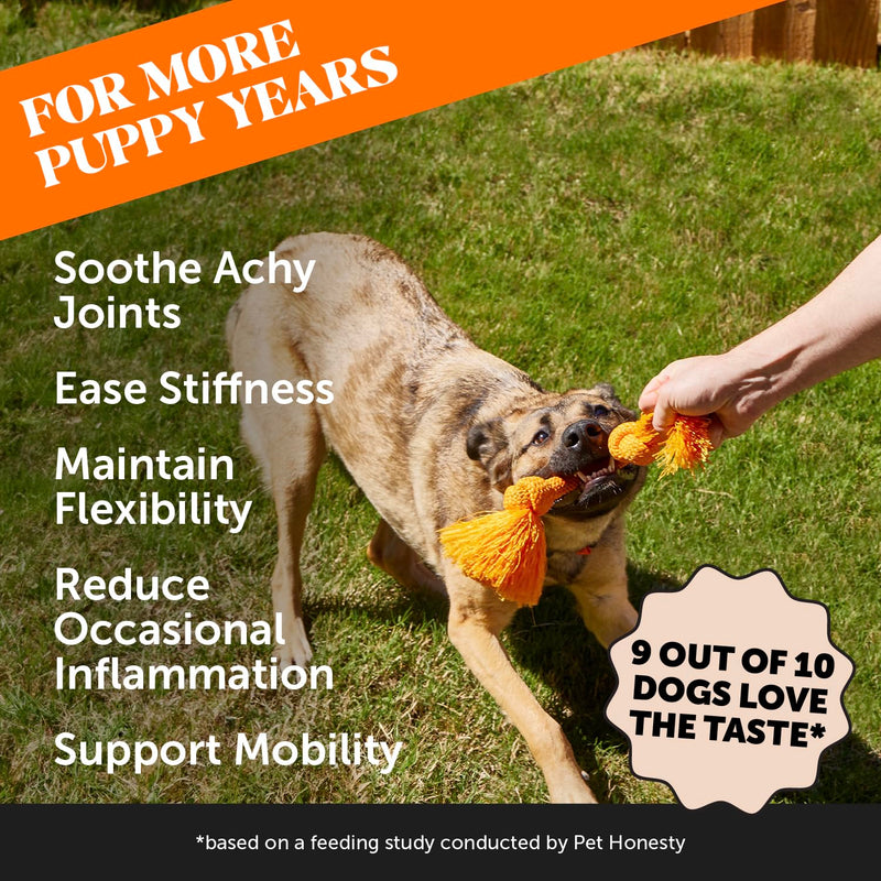 11-in-1 Advanced Hip + Joint Supplement for Dogs - Mobility Support with Glucosamine Chondroitin, Turmeric, & Green Lipped Mussel, MSM - Soothes Joint Stiffness & May Reduce Discomfort (Duck, 90 Ct) Duck - Regular