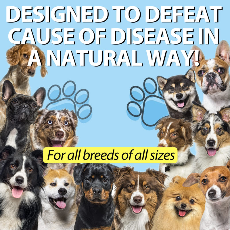 Kennel Cough Treatment for Dogs, Kennel Cough Herbal Drops, Dog Cough Relief - Dog Seasonal Allergy Relief, Dog Itch Relief, Support Dog Cough Care About Dry, Pet Cough Relief - 2.02 Fl.oz / 60 ml Bacon Flavor - PawsPlanet Australia