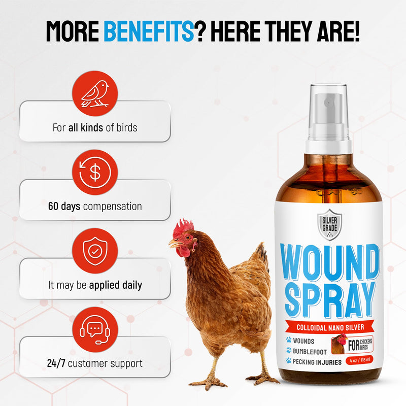 SILVER GRADE Wound Spray for Chicken – Birds & Chicken Antibiotics Alternative to Help with Pecking Sores, Bumblefoot, Cuts – Poultry Spray with Silver – GMOs Free – 4-Oz Bottle 4 Fl Oz