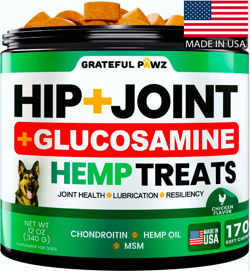 Hemp Hip and Joint Supplement for Dogs - Glucosamine for Dogs - 170 Joint Pain Relief Treats - Chondroitin, MSM, Hemp Oil - Advanced Health Supplement - Mobility Support Chews - Made in USA 12 OZ
