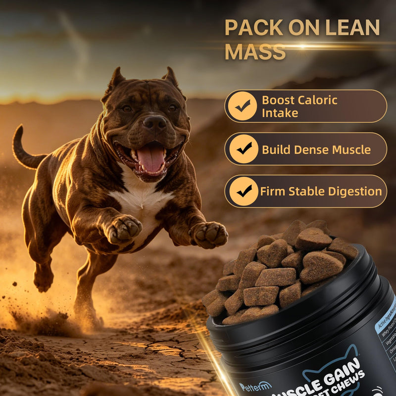 High Calorie Dog Muscle Builder Chews for Underweight Breeds, 100 Ct | For skinny and active dogs, stops bowl refusal, 800mg whey protein per serving, garbanzo flour for stable digestion