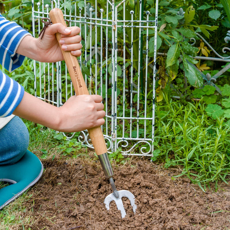 Berry&Bird Gardening Hand Fork, 22.6 Inches Long Handled Stainless Steel Weed Fork, Traditional Garden Hand Fork Tool with Ergonomic Ash Wood Handle for Weeding, Digging, Planting and Cultivating - NewNest Australia