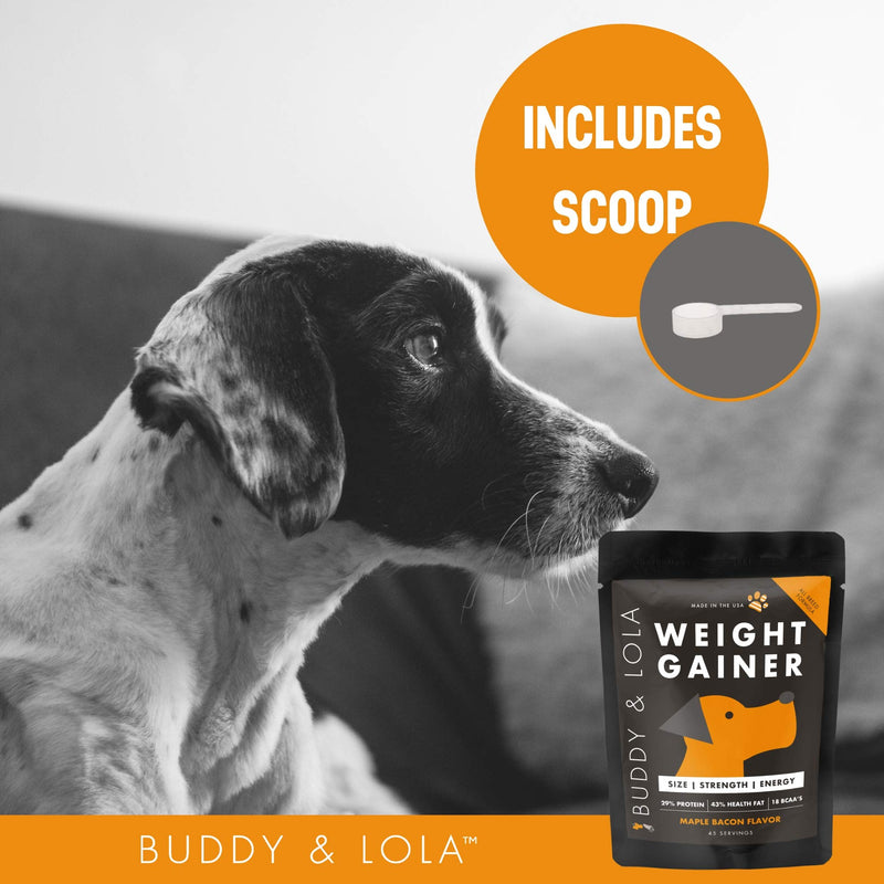 Buddy & Lola Dog Weight Gainer - Dog Supplement for Weight Gain - Dog Protien Powder for Max Muscle Builder, High Calorie Supplement for All Dogs & Breeds inc Bully. Pro Food Topper - Made in The USA - PawsPlanet Australia