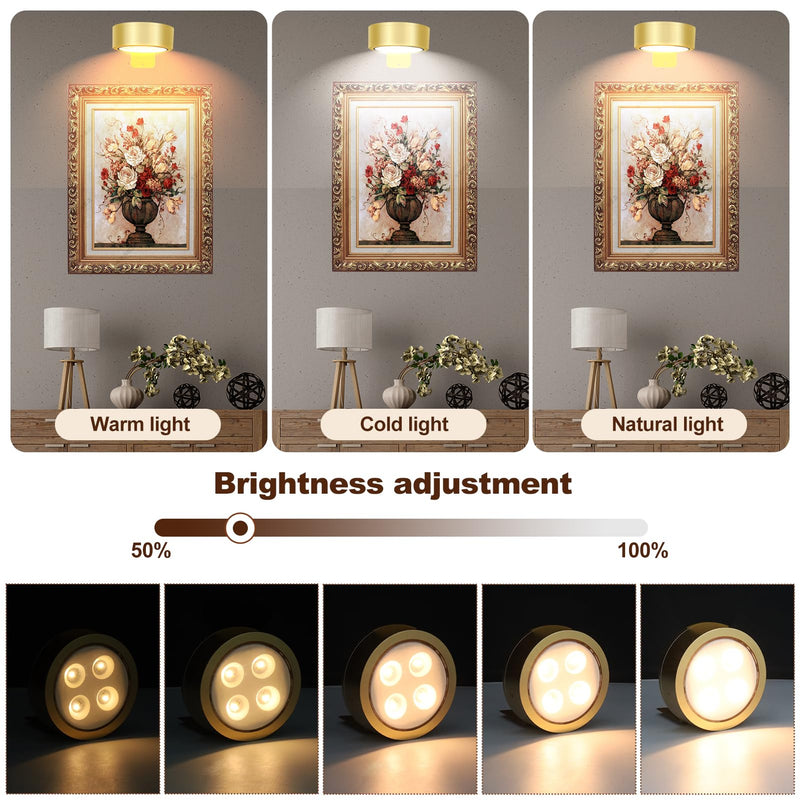 TTQ 4PCS Magnetic Picture Lights Batteries Operated Painting Light with Telecontrol and Dimmable Timer,Gold Art Display Light Wireless Walls Decor Puck Lights for Picture Frame Artworking Portraits Gold
