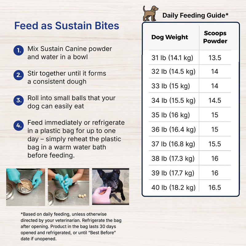Sustain Canine Recovery Food for Dogs 100 g - PawsPlanet Australia
