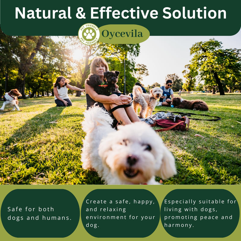 16oz Dog No Pee Spray – Non-Toxic Protection for Carpets, Sofas & Yard Plants - Puppy Potty Training Spray - No Pee Here Formula - Anti Marking Spray for Dogs 18.2 Fl Oz