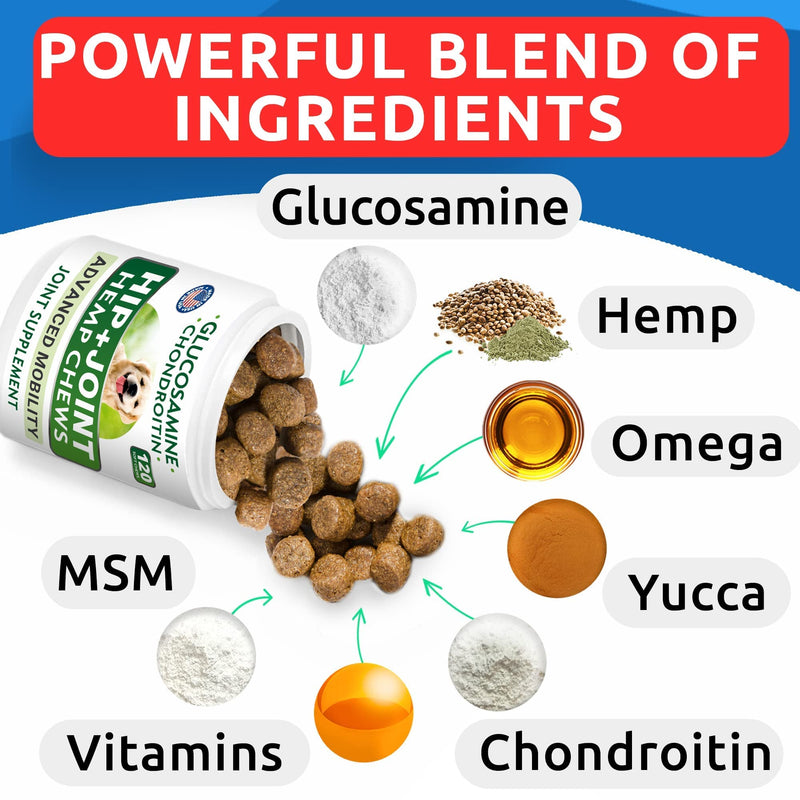 Hemp Oil Treats + Glucosamine + Allergy Relief Bundle - Hip & Joint Supplement + Anti-Itch & Hot Spots - Chondroitin, MSM + Omega 3 + Pumpkin + Enzymes - Immune Support - Made in USA - 240 Chews