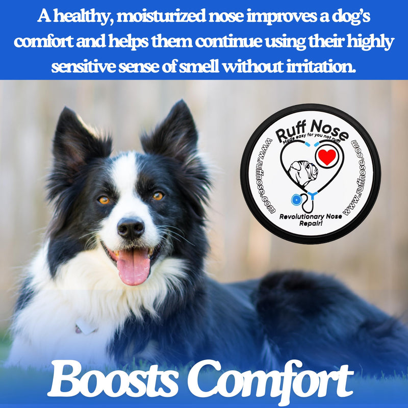 RuffNose Dog Nose Butter/Balm 1 Oz - All-Natural Snout Soother with Organic Oils, Butters & Beeswax - Relief for Dry, Cracked, Chapped Noses - Safe for Licking, Made in USA 1 Oz. - PawsPlanet Australia