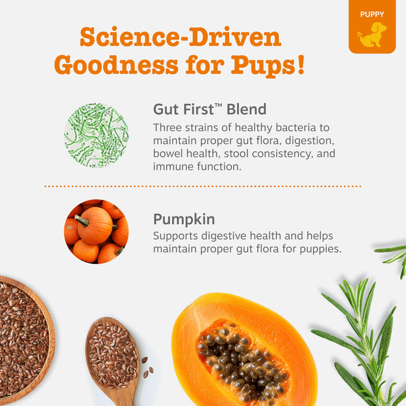 Zesty Paws Puppy Probiotics for Dogs - for Digestive Health, Gut Flora & Immune System Support - Dog Probiotics for Puppies with Bacillus subtilis & Pumpkin - 90 Count Pumpkin - Puppy