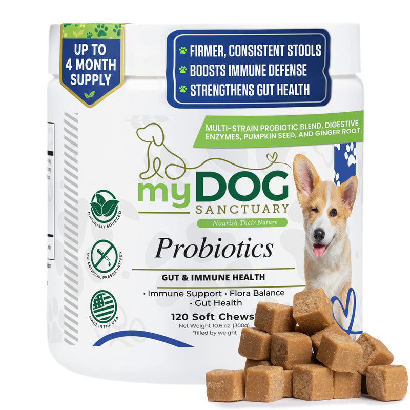 Probiotics for Dogs – 120 Soft Chews, Bacon Flavor | Digestive Enzymes, Gut Health & Immune Support with Pumpkin Seed & Ginger | for All Breeds
