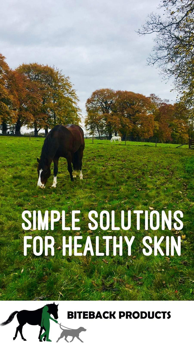 Biteback Products 'Sweet Relief Silver' Support Cream For Sensitive Skin, Minor Wounds & Rubs (Horse & Dog) 500g - PawsPlanet Australia