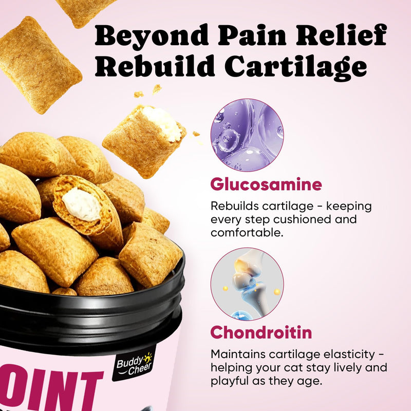 Cat Oral & Joint Support Bundle – Dental Water Additive with Joint Support Creamy-Filled Treats for Mobility & Daily Comfort