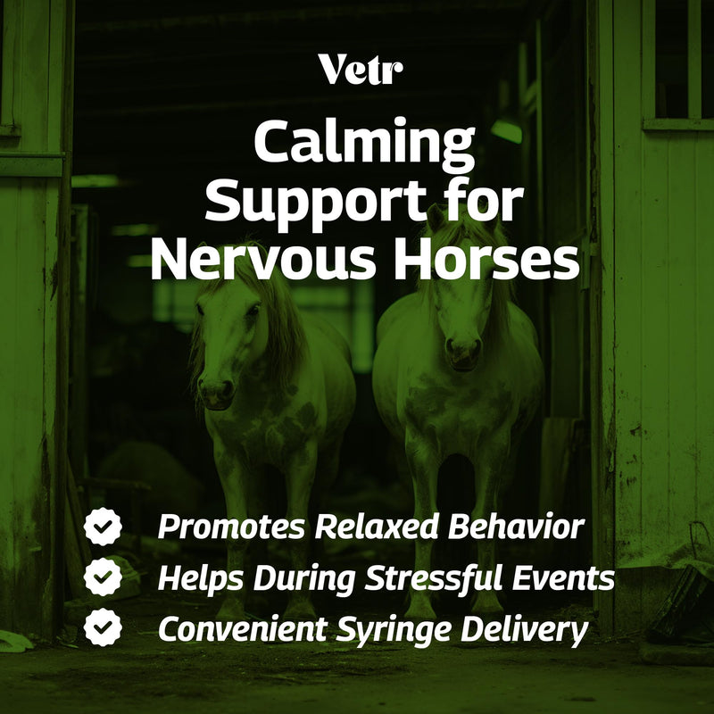 VetrChill Calming Gel for Horses - Apple Flavored Oral Supplement with L-Theanine and Melatonin - Supports Relaxation and Focus - Single Tube - Vet-Formulated in USA