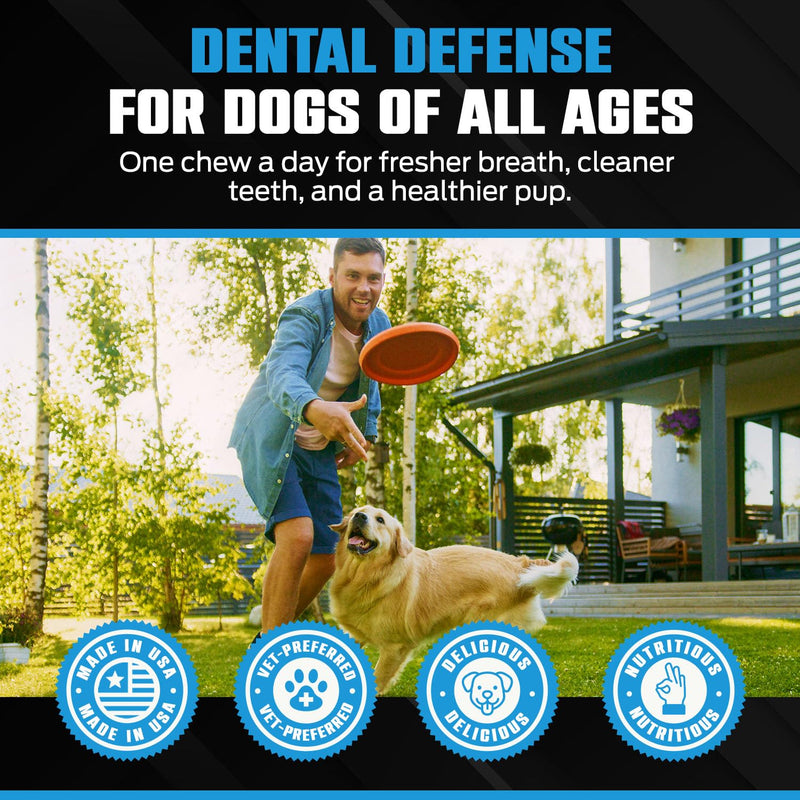 K10 Dental Chews (10 Count) – Low-Calorie Dog Chew with Human-Grade Ingredients – Dog Chews that Support Fresh Breath, Oral Hygiene, Digestion & Vitality – Vet-Preferred Dental Treats for Dogs Dental Chews 10 Count