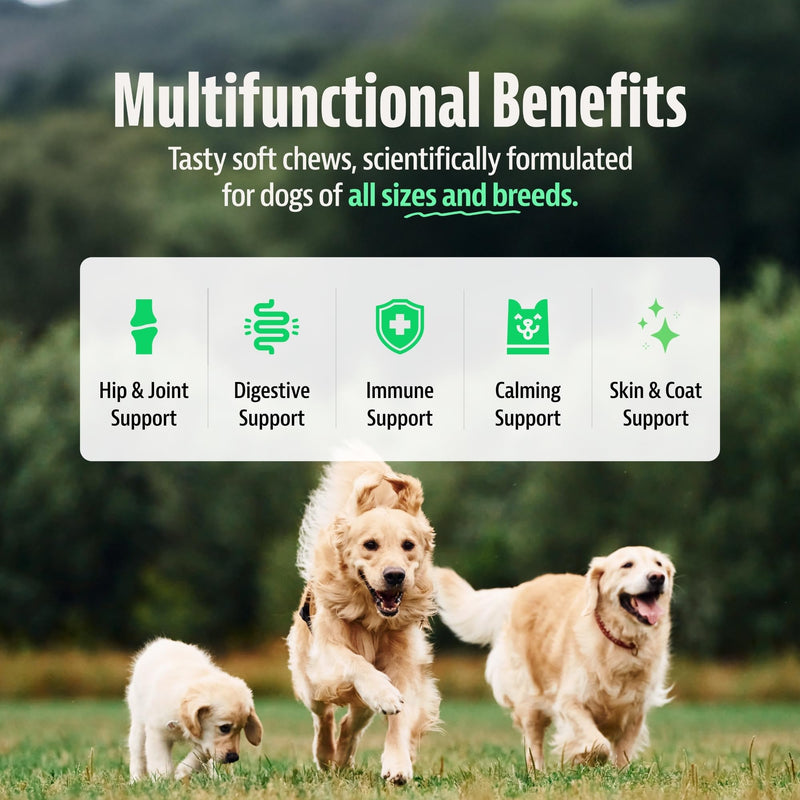 25-in-1 Dog Multivitamin Soft Chews – Dog Vitamins and Supplements with Probiotics, Glucosamine & Omega 3 Fish Oil – Hip & Joint, Digestive, Skin & Coat Support – Chicken Flavor – 100 Count