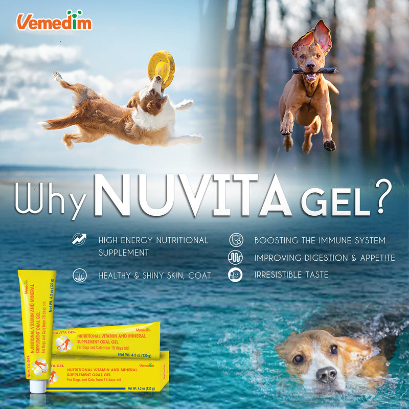 Premium Nutritional and Vitamin Gel for Dogs and Cats - Enhance Health, Boost Appetite, and Energize! Suitable for All Breeds and Life Stages - Multivitamin Gel 4.2 oz (120 g) - PawsPlanet Australia
